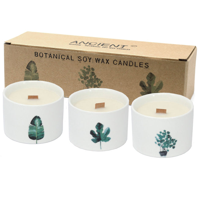 Med Botanical Candles - Japanese Garden 3% fragrance Oil