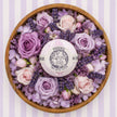 Agnes + Cat Secret Garden Bath Fizzer Gift Set