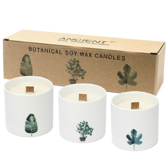 Large Botanical Candles - Victorian Peony 3% Fragrance Oil