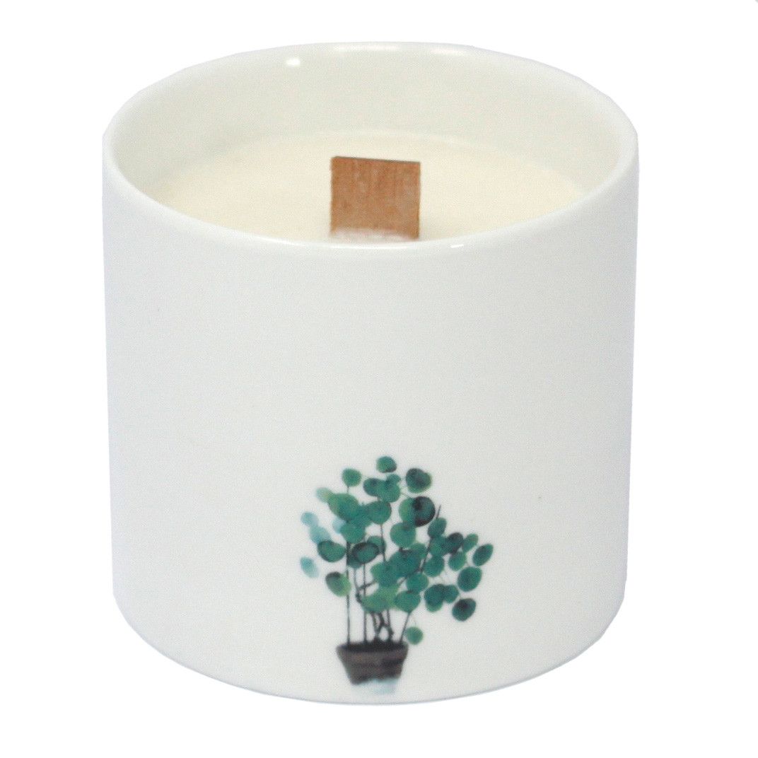 Large Botanical Candles - Marsh Viola 3% Fragrance Oil