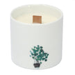 Large Botanical Candles - Victorian Peony 3% Fragrance Oil