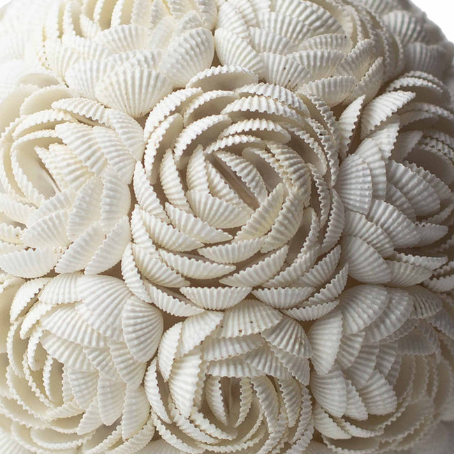 Boho Sea Shell Lamp - Rose Egg Oval - 15cm Gift [Free UK Delivery]