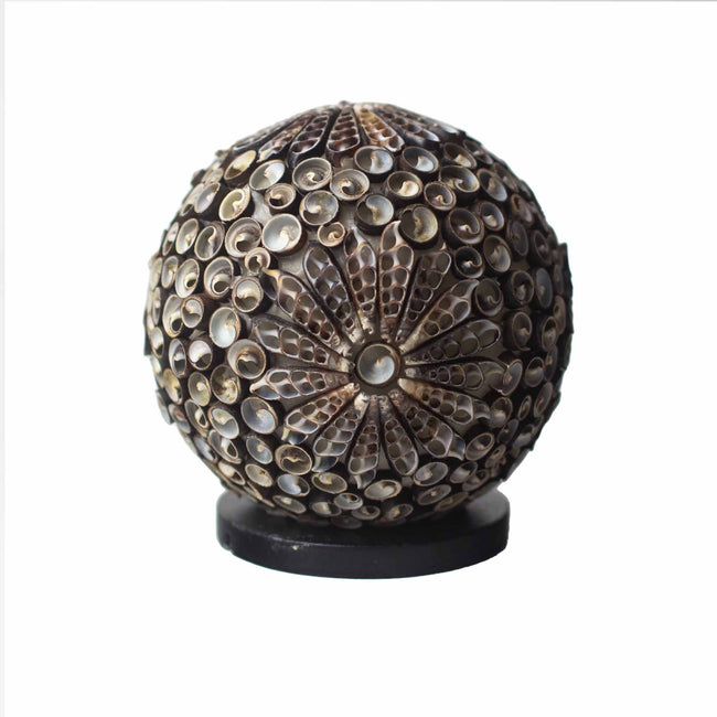 Boho handmade Sea Shell Lamp - Chocolate Twist Globe - 15cm