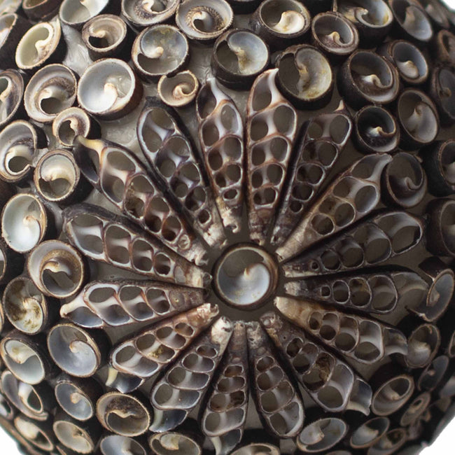 Boho handmade Sea Shell Lamp - Chocolate Twist Globe - 15cm